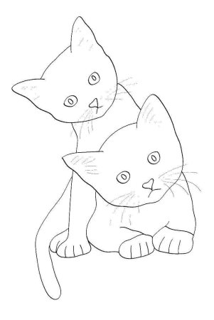 Рисунки котят для срисовки