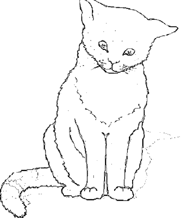 Британская кошка раскраска