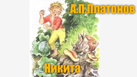 Платонов Никита книга