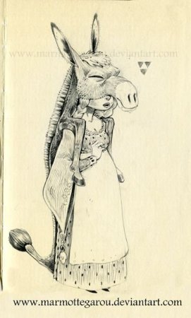 Ослиная шкура рисунок