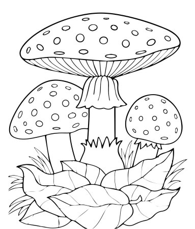 Картинки раскраски грибы и ягоды (53 фото)