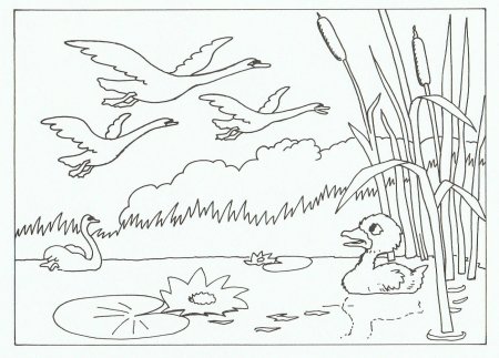 The ugly Duckling раскраска