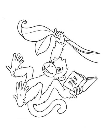 Обезьяна с книгой раскраска
