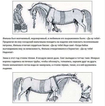 Паустовский теплый хлеб раскраска