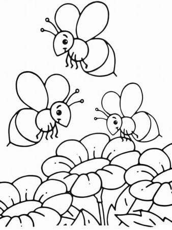 Картинки раскраски насекомых для дошкольников (53 фото)