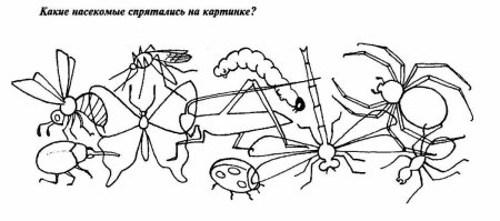 Насекомые задания для детей