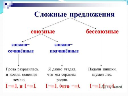 Простые и сложные предложения союзные Бессоюзные