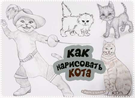 Кот и лодыри рисовать легко