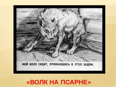 Иллюстрации по басне волк на псарнн