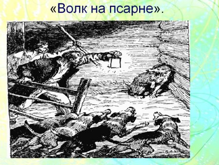 Волк на псарне