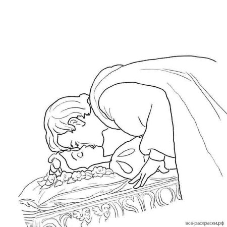 Спящая Царевна рисунок