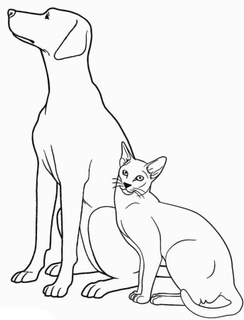Раскраска щенок и кошка