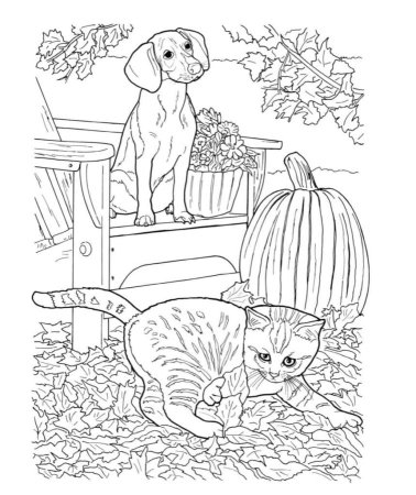 Кошки и собаки. Раскраска