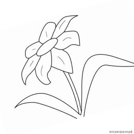 Цветик семицветик раскраска