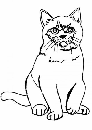 Кот для раскрашивания