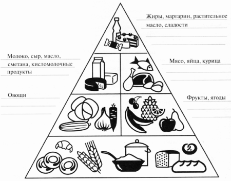Пирамида питания раскраска для детей