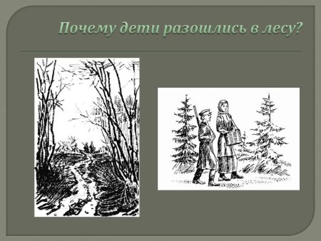 Пришвин кладовая солнца рисунок карандашом