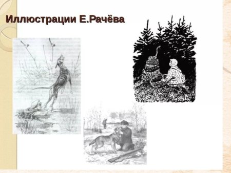 Рачев кладовая солнца