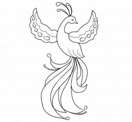 Жар птица рисунок