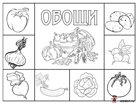 Овощи картинки для детей раскраска