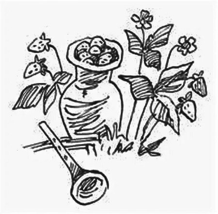 Раскраски для детей девочек цветочки