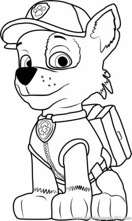 Paw Patrol Рокки
