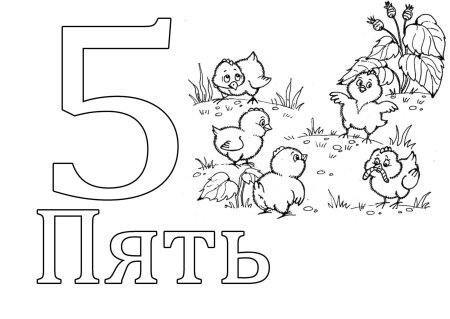 Цифра 5 раскраска