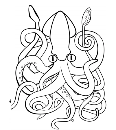Кальмар Squid