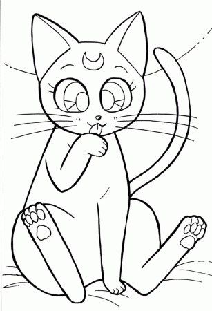 Рисунок кошки легкий для срисовки