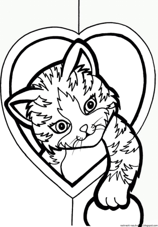 Котенок. Раскраска