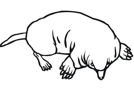 Крот раскраска