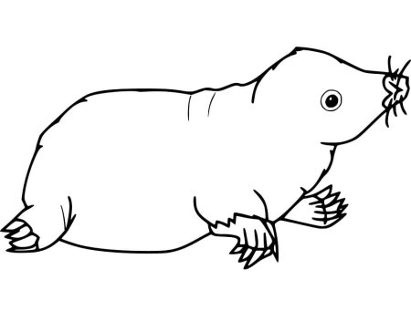 Mole раскраска