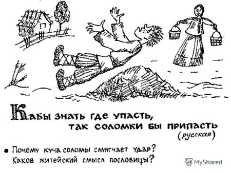 Пословицы в картинках