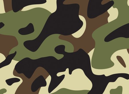 Защитный цвет военной
