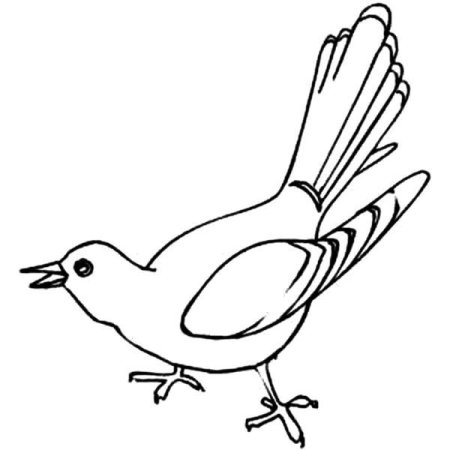 Кукушка раскраска