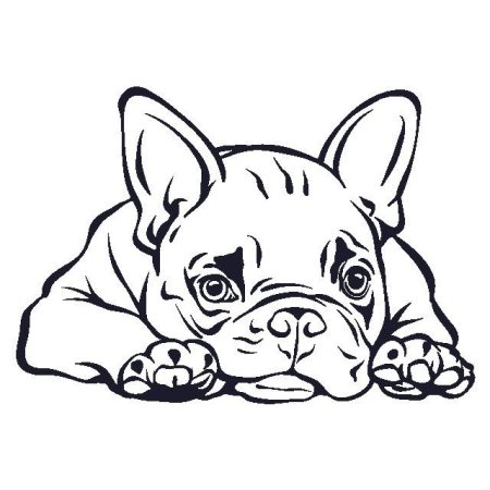 Французский бульдог щенок раскраска