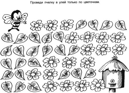 Насекомые задания для дошкольников
