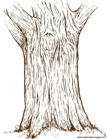 Рисование коры дерева