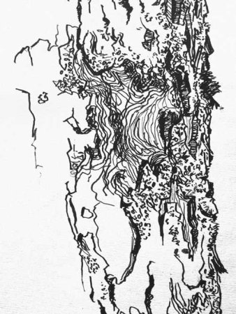 Кора дерева Графика