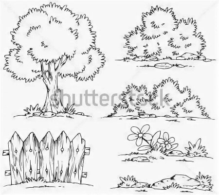 Кустарники для раскрашивания
