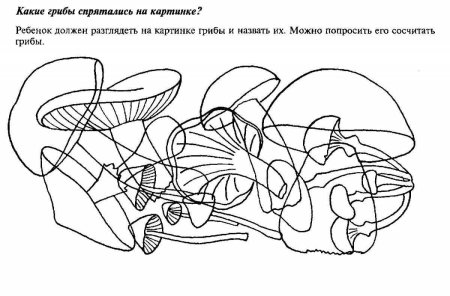 Задания на зрительное восприятие